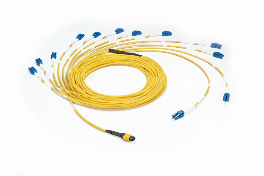 Linkwylan MPO fiber trunk cable detail